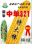 玉米种子新品种中单321，中玉11号，中单108市场行情